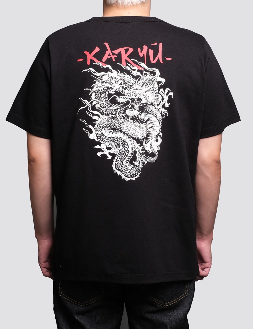 KARYU WEB 2