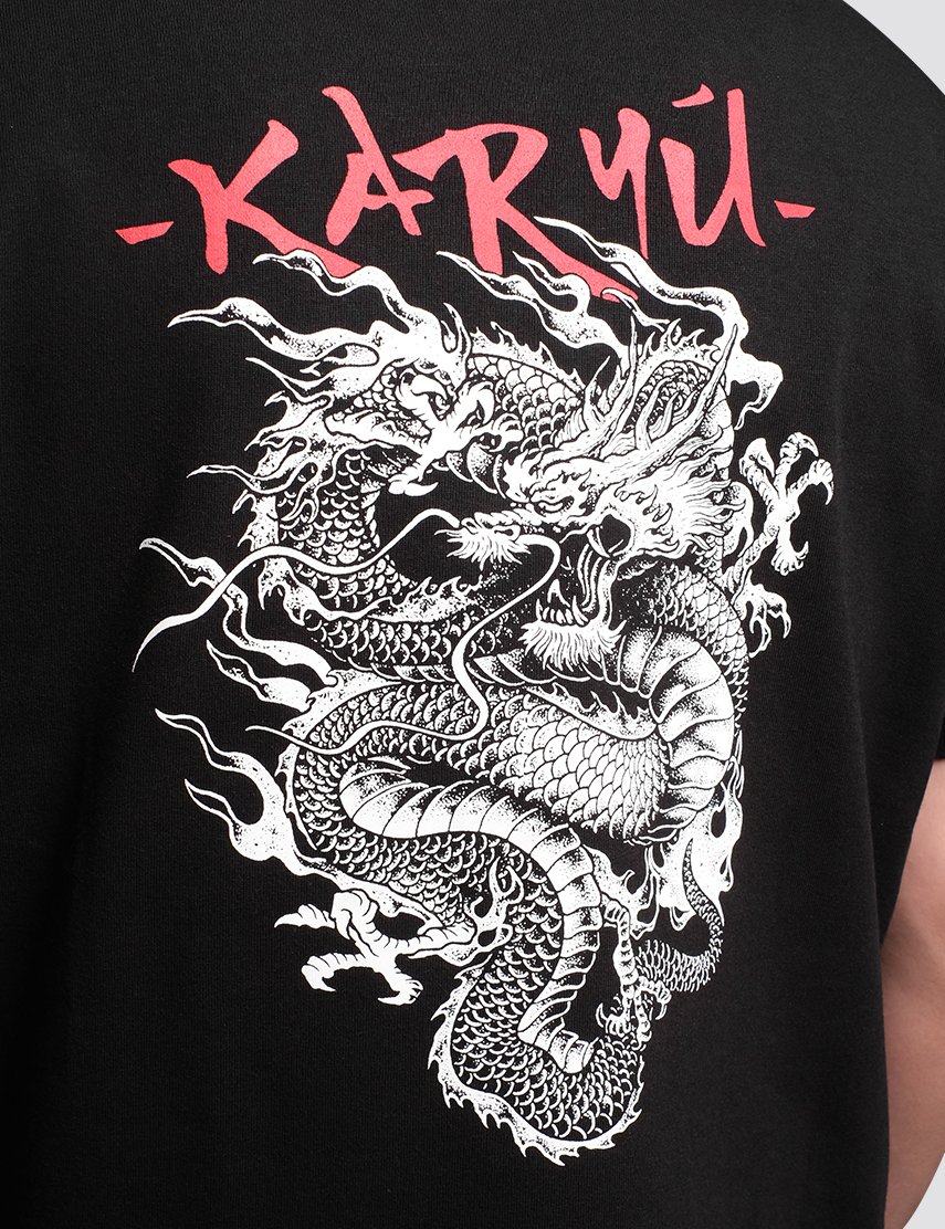 KARYU WEB 3